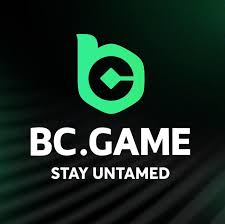 Comprehensive Guide to BC.Game Withdrawal Methods -217018561