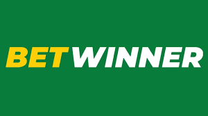 Betwinner Your Gateway to Exciting Betting Opportunities
